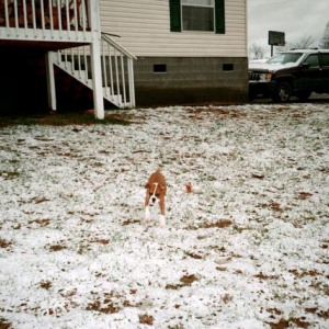 SNOW!!!