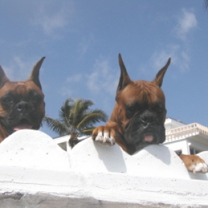 Laila and Holmes in West Palm