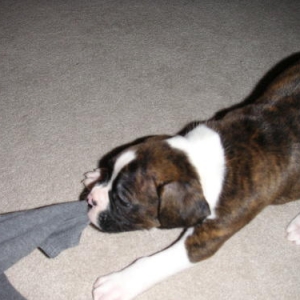 it's mine!