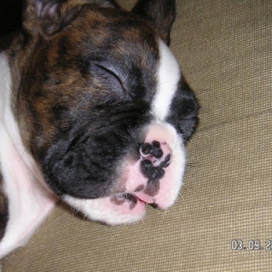 ......zzZZzzZZzz......