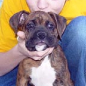 Odi at 9+ wks