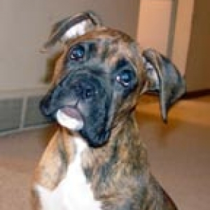 My baby Odi