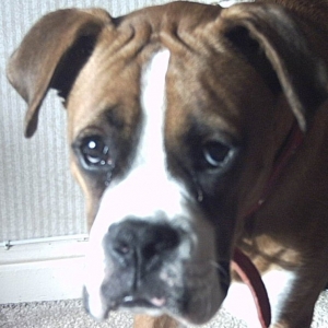 oscar seven months