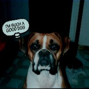 I'm Such A Good Dog!