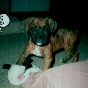 I'm So Cute!