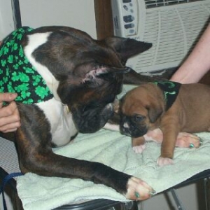 Ozzy & Lennox