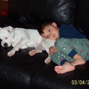 my babies