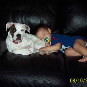 my babies
