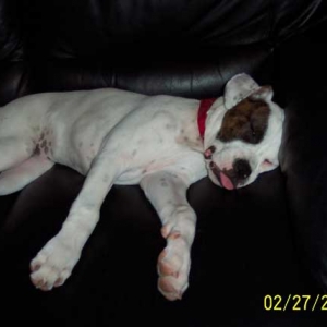 4 months old