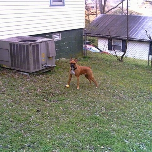 Oden playing outside