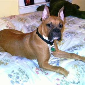 Oden looking good for the camera