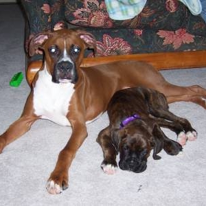 Trinity and cousin Rex