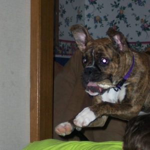 I believe I can fly!