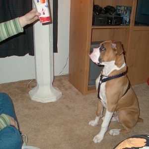 Hey can I have some of that??