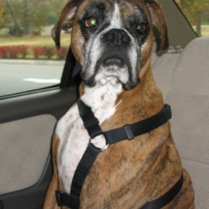 Comeon' dad lets go!!!!
