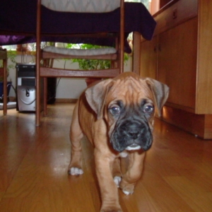 Lenard Wiggins 6 1/2 weeks