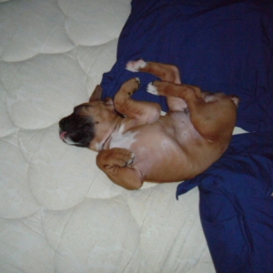 Lenard Wiggins 6 1/2 weeks