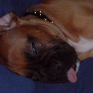 Lenard Wiggins 6 1/2 weeks
