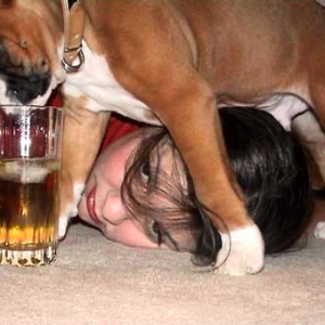 I'm the alpha dog and I drink your apple juice!