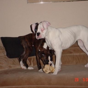 Tunney and brother