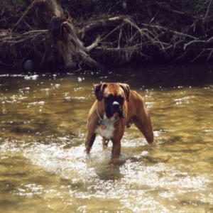 Duffin's Creek