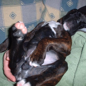 "Does this look comfortable or what!?"