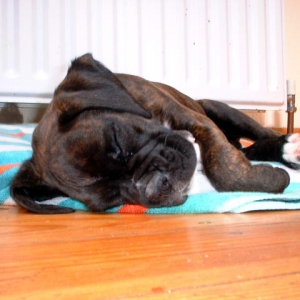 "Pfffff... I give up"