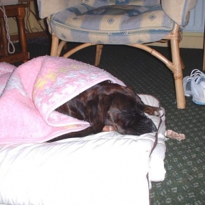 ZZZzzzzZZZZzzzzz...