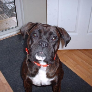 "Are you gonna give that treat now or what?"