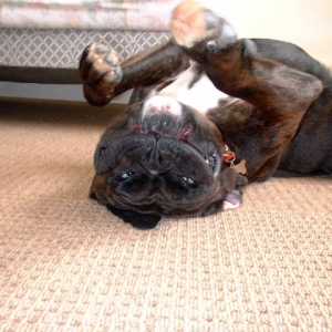 "Helloooo..."