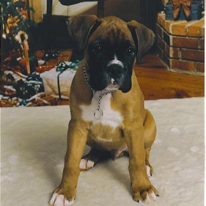 Diesel's 1st xmas