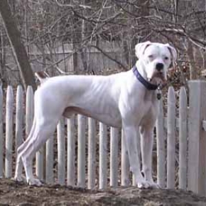 Finnegan - king of the hill :)