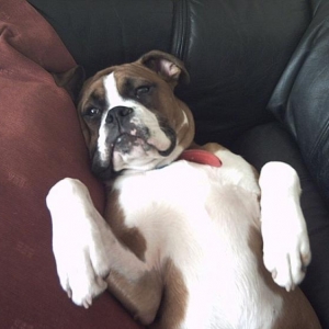 oscar