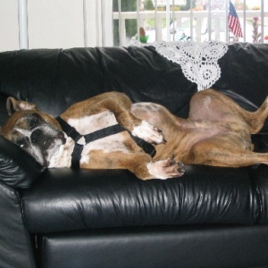 comfy?