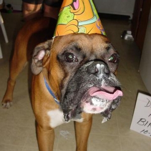 1st b-day after cake