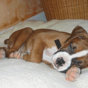 Tough Day