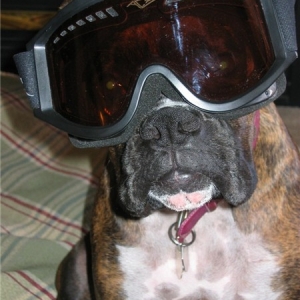 I wanna go Skiing