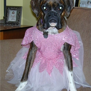 Being a Princess