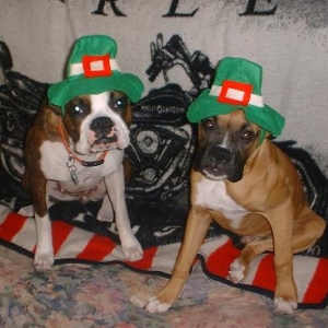 Happy St. Patty Day