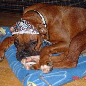 Princess Otis.