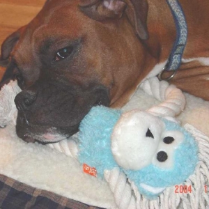 Otis and Monkey