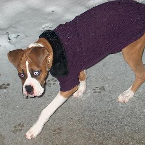 eeek more snow!