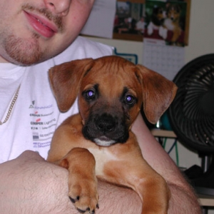 Dad & Zeus