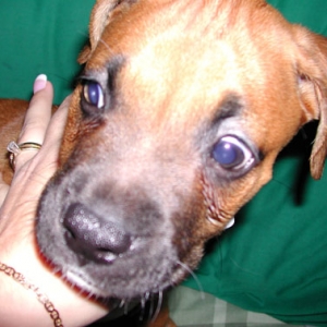 Zeus @ 9 Weeks
