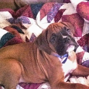 George being cute