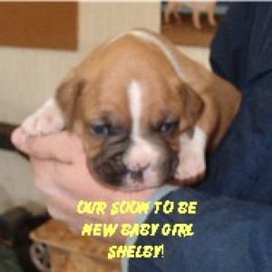 Our Soon to Be Baby Girl!