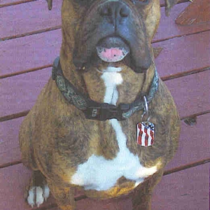Mr. Tough Guy