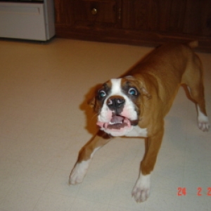 tuff's crazy face