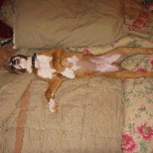 Racked Out