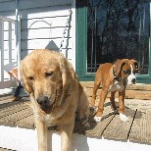 Bodi & Lance